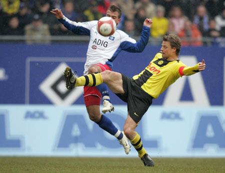 还能在绿意 还能在绿意